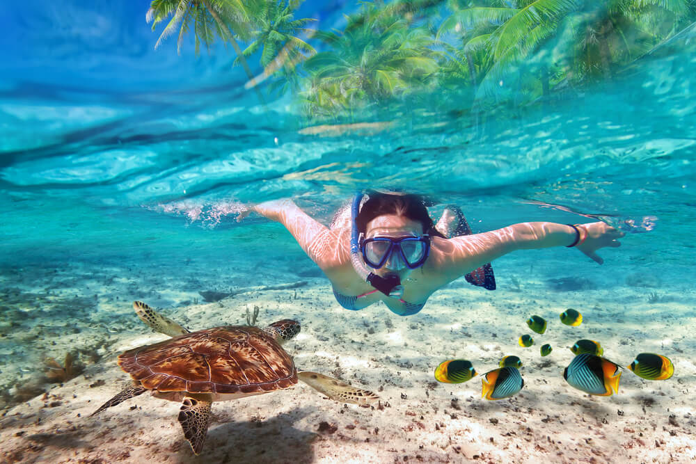 View of a person enjoying Aruba snorkeling with a sea turtle